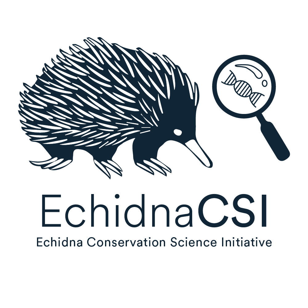 Echidna CSI logo