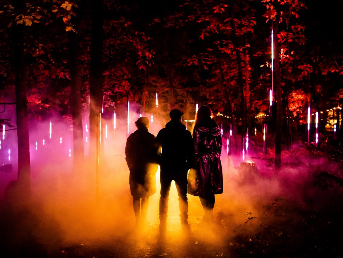 Three silhouetted people stand in a forest lit by orange and pink lights