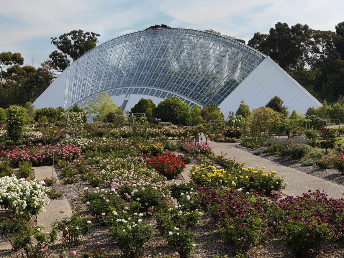 The Conservatory at the Adelaide Botanic Gardens