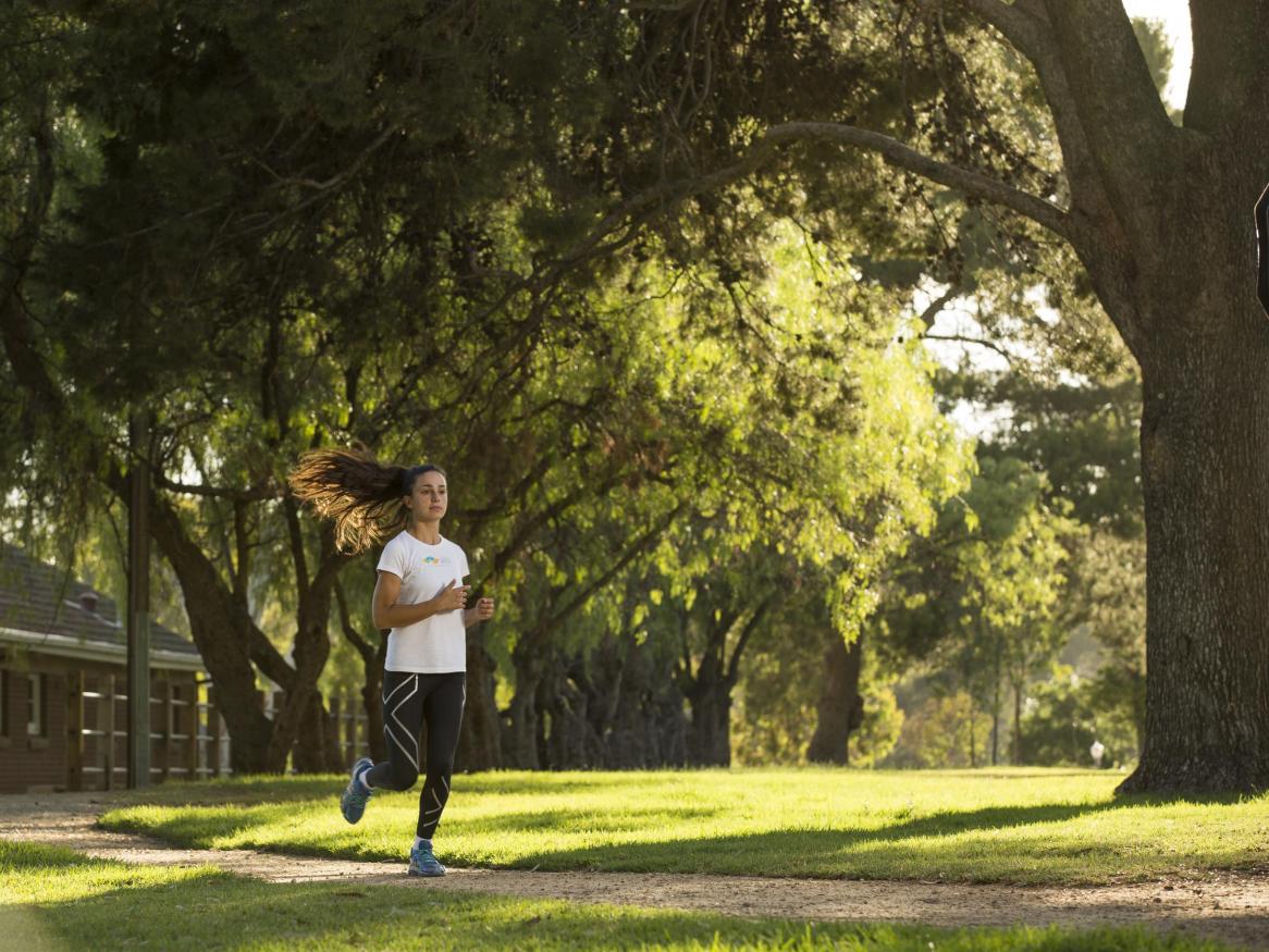 University of Adelaide student jogging. Exercising in the Adelaide parklands.