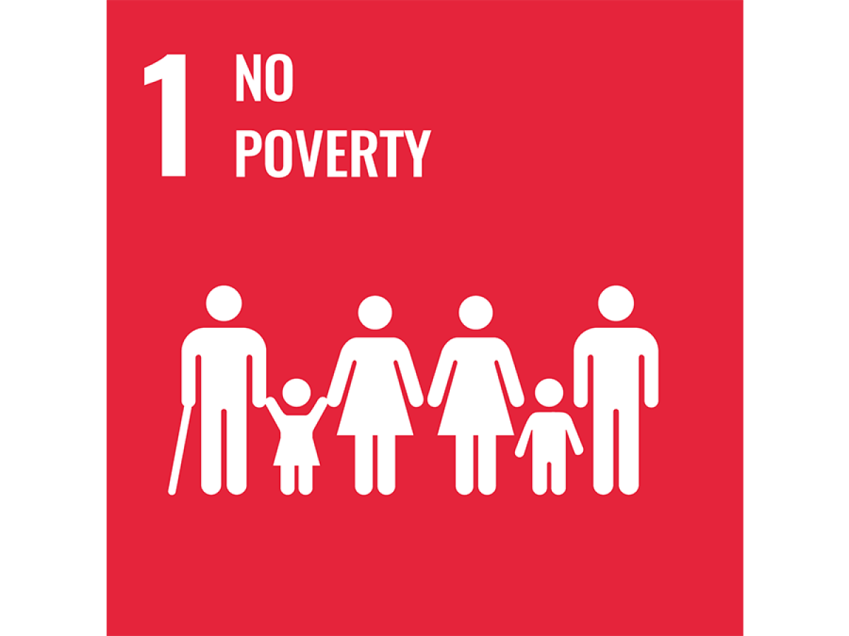 Goal 1: No poverty