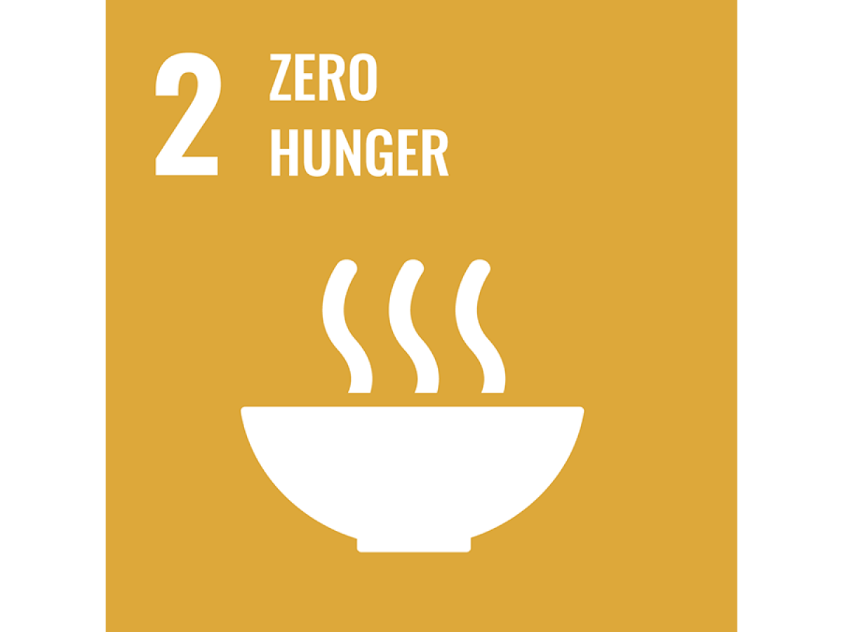 Goal 2: Zero hunger
