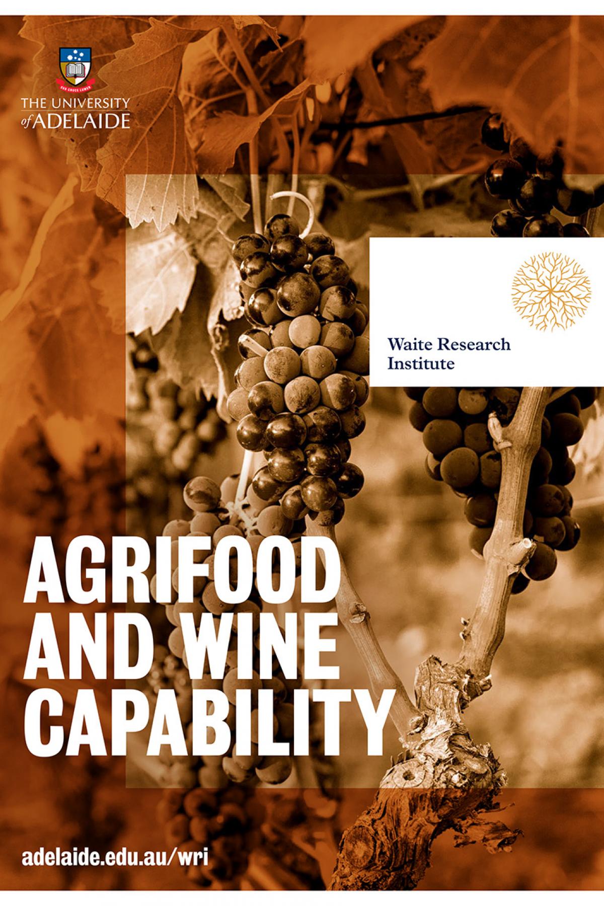 Agrifood and wine capability