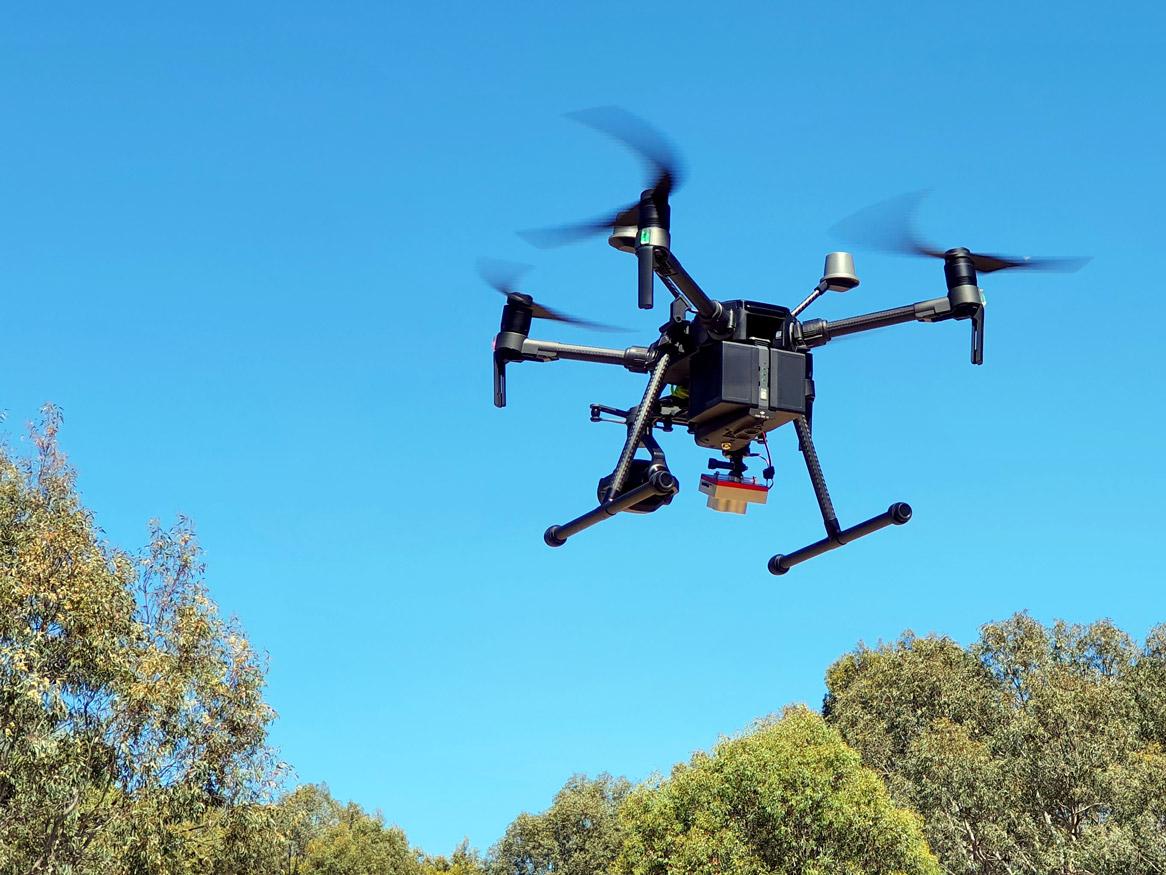 Drone flying near trees