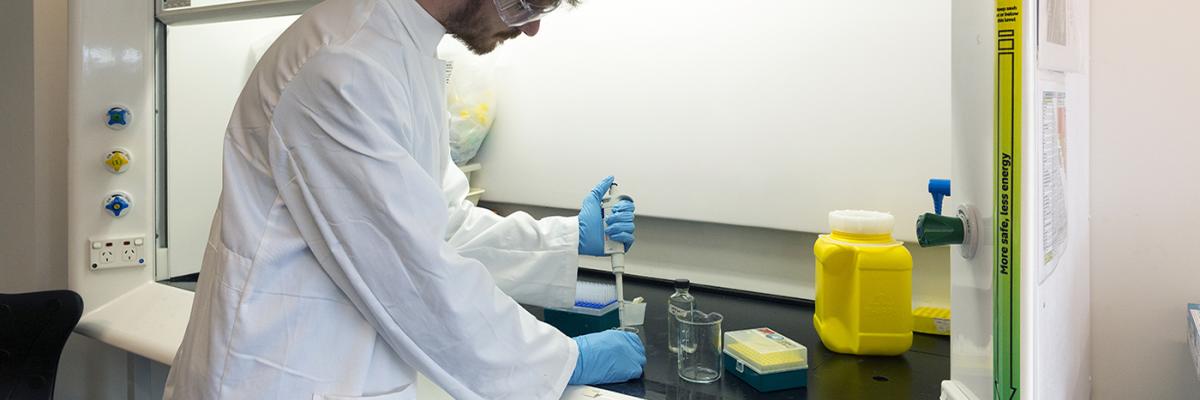 A researcher using a fume cupboard in a laboratory