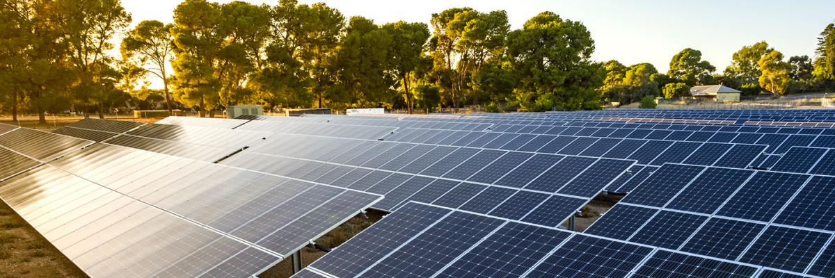 Roseworthy solar farm ground-mounted panels