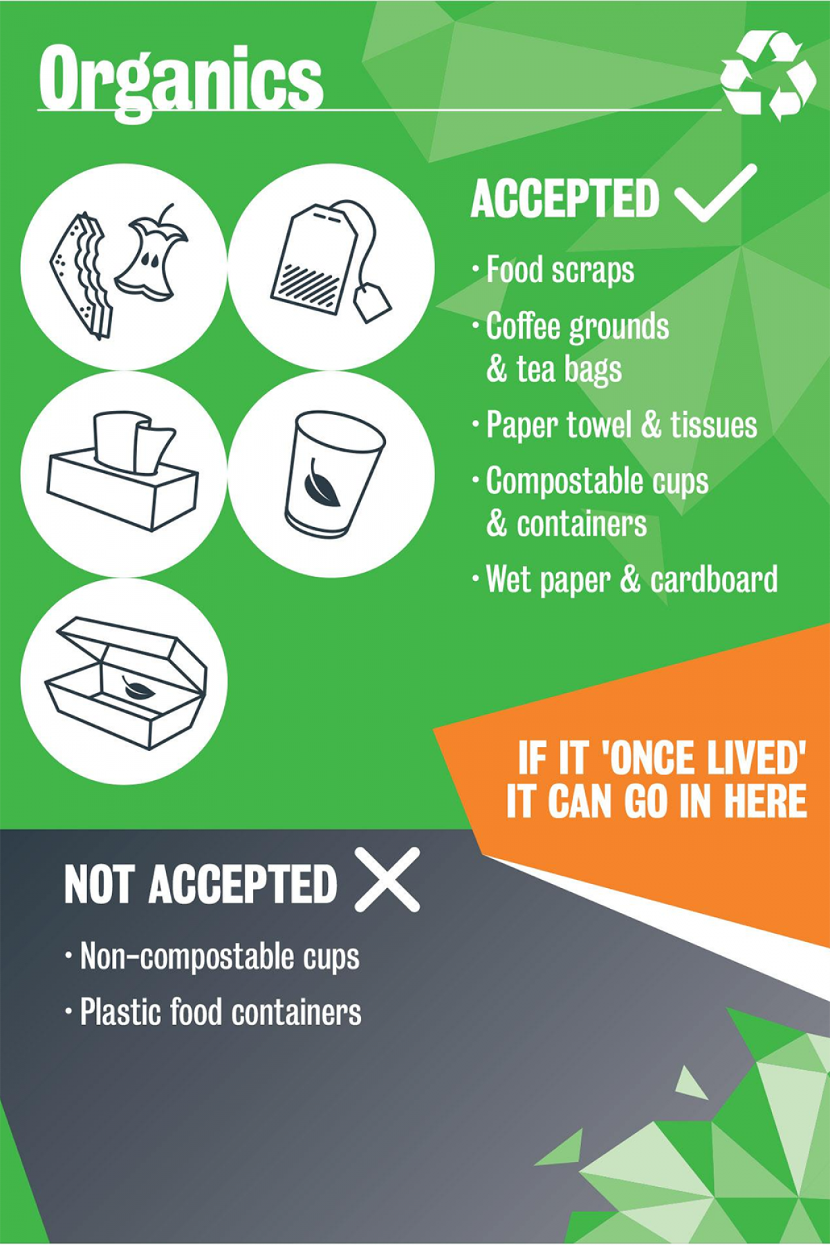 Accepted in green bin - food scraps, coffee grounds & tea bags, paper towel & tissue, compostable cups & containers, wet paper & cardboard; not accepted - non-compostable cups and plastic containers 