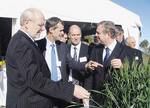 Professor James McWha, Professor Mark Tester, Professor Geoff Fincher and Premier Mike Rann at the announcement of the Plant Accelerator
Photo by Cobi Smith, Australian Centre for Plant Functional Genomics