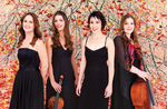 From left: The Australian String Quartet, Sophie Rowell (violin), Sally Boud (viola), Anne Horton (violin) and Rachel Johnston (cello)
Photo by Jacqui Way Photography