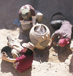 Adelaide students excavating an 8th century water jar at Khirbet es-Sheikh Isa, Jordan
Photo courtesy of Dr Margaret OHea