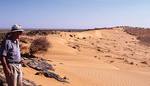 Professor Martin Williams at the edge of an impact crater in the Mauritanian Desert, Western Sahara
Photo by Dr Helene Jousse