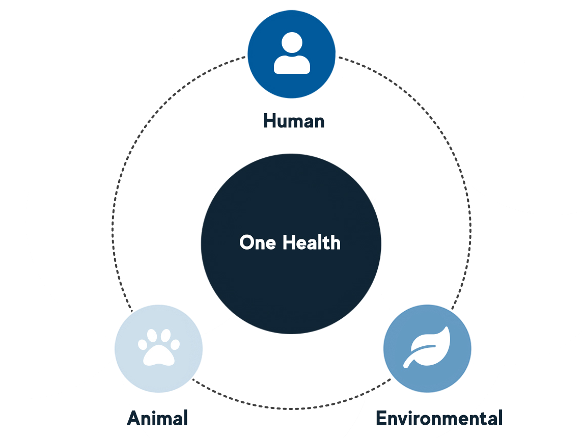 A diagram showing One Health is the intersection of human health, animal health, and environmental health.