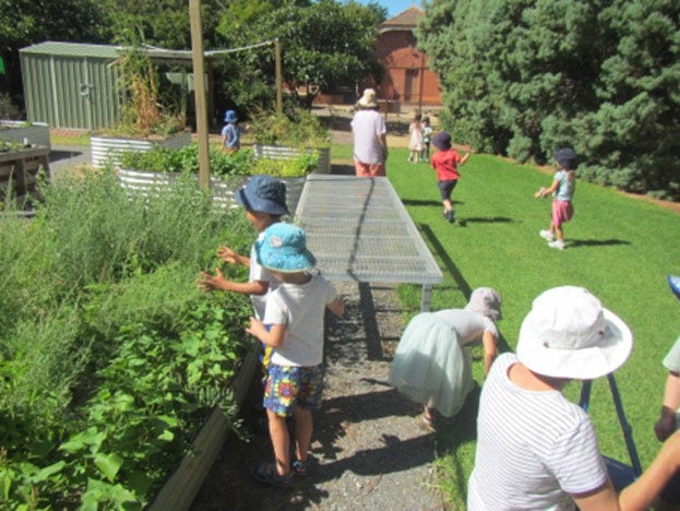 A walk to Urrbrae House