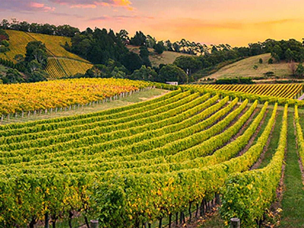 Academy of Wine Business Research