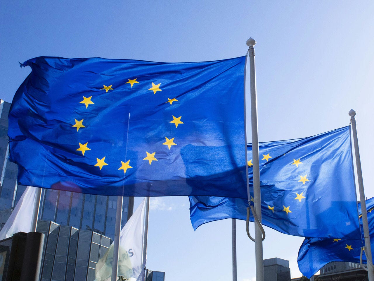 European Union flags