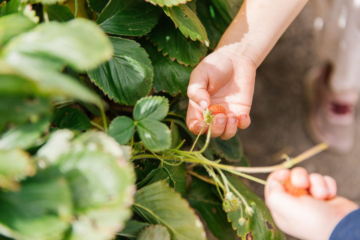 Pilyabilyangga and the Adventure Playground