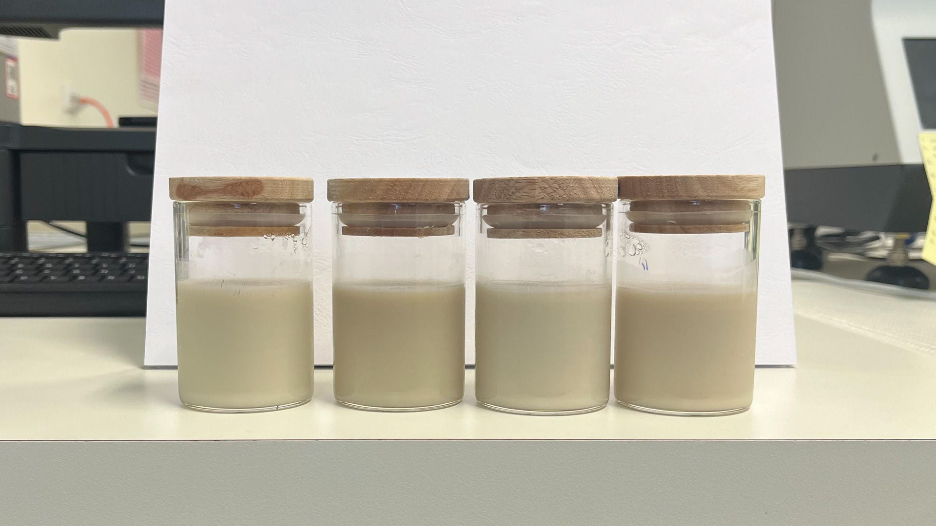 Different faba bean milk formulations