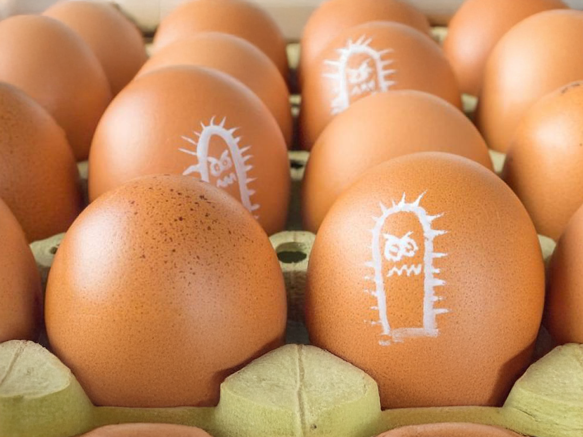 eggs