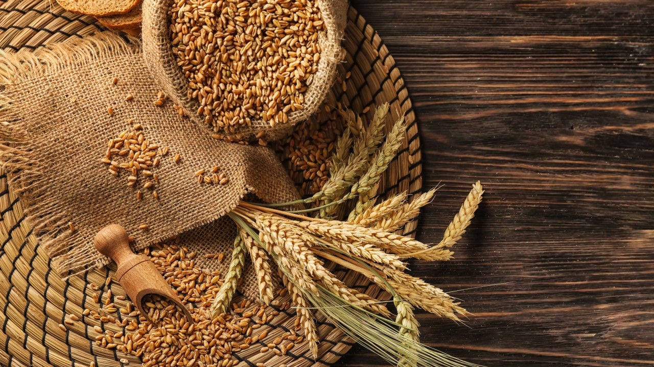 Can AI help wheat survive the heat?