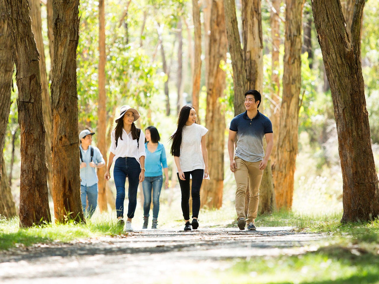 A family walking on a nature trail