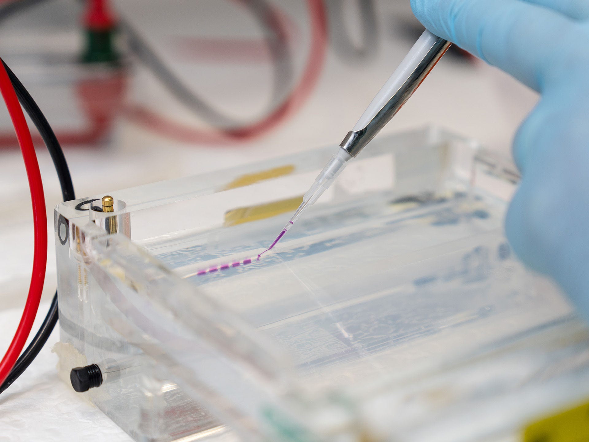 Lab testing facility