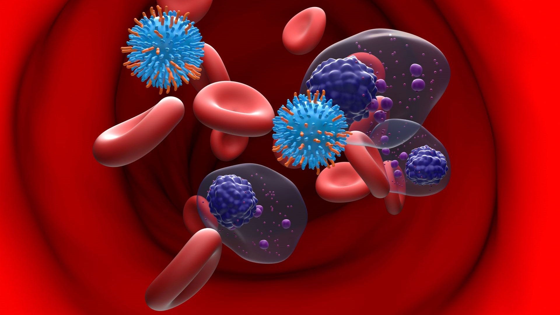 multiple myeloma blood cells