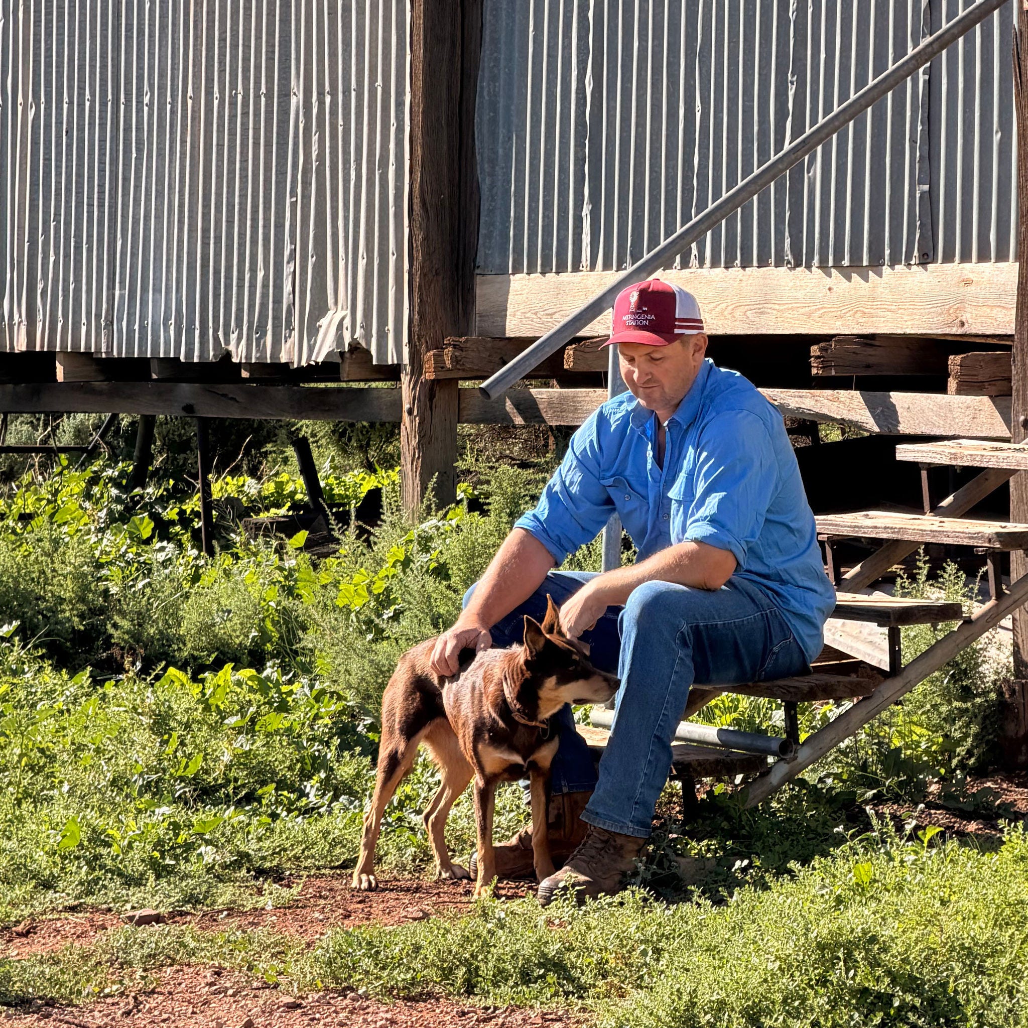 Farmer and dog