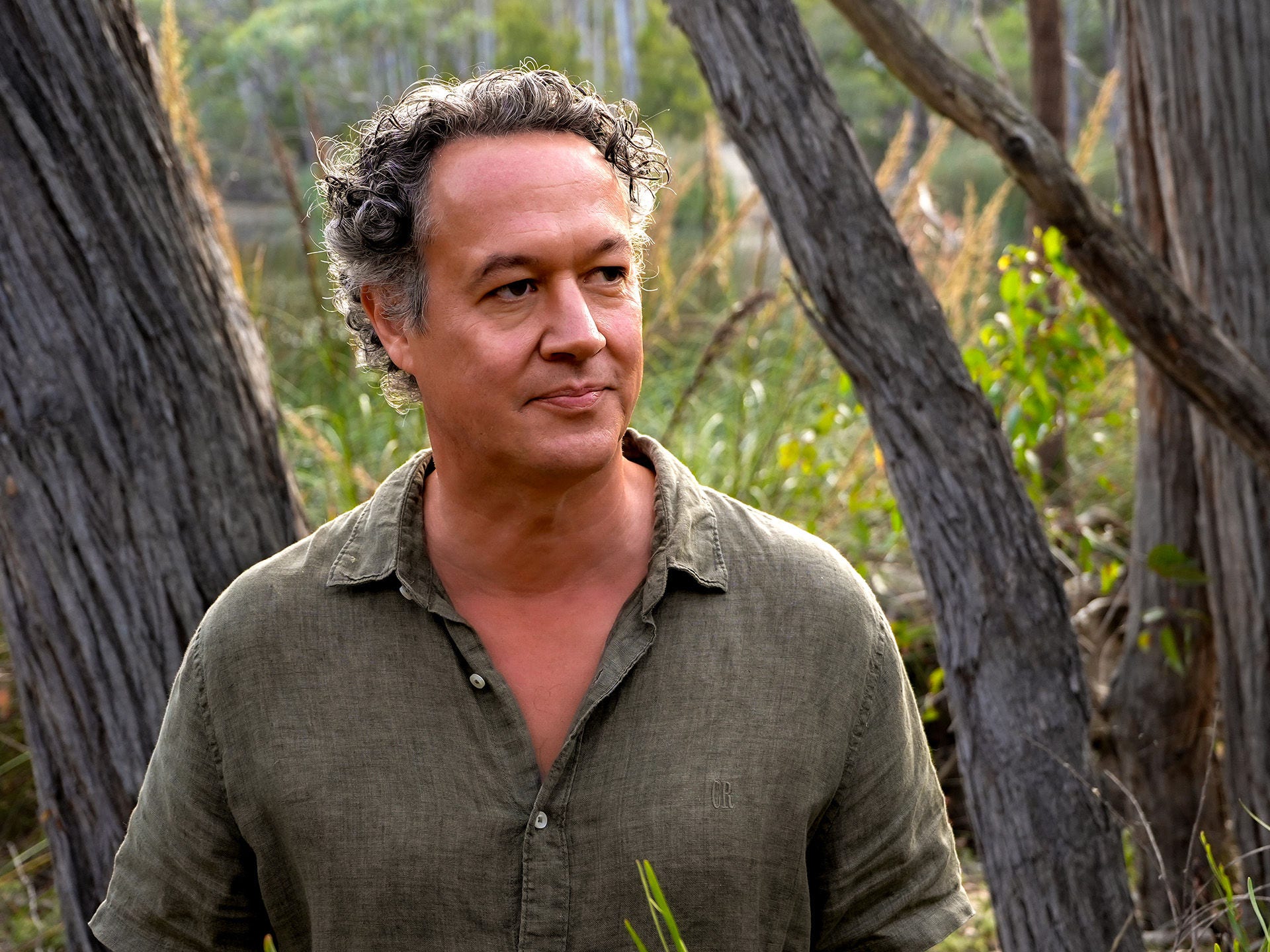 Professor Andrew Lowe