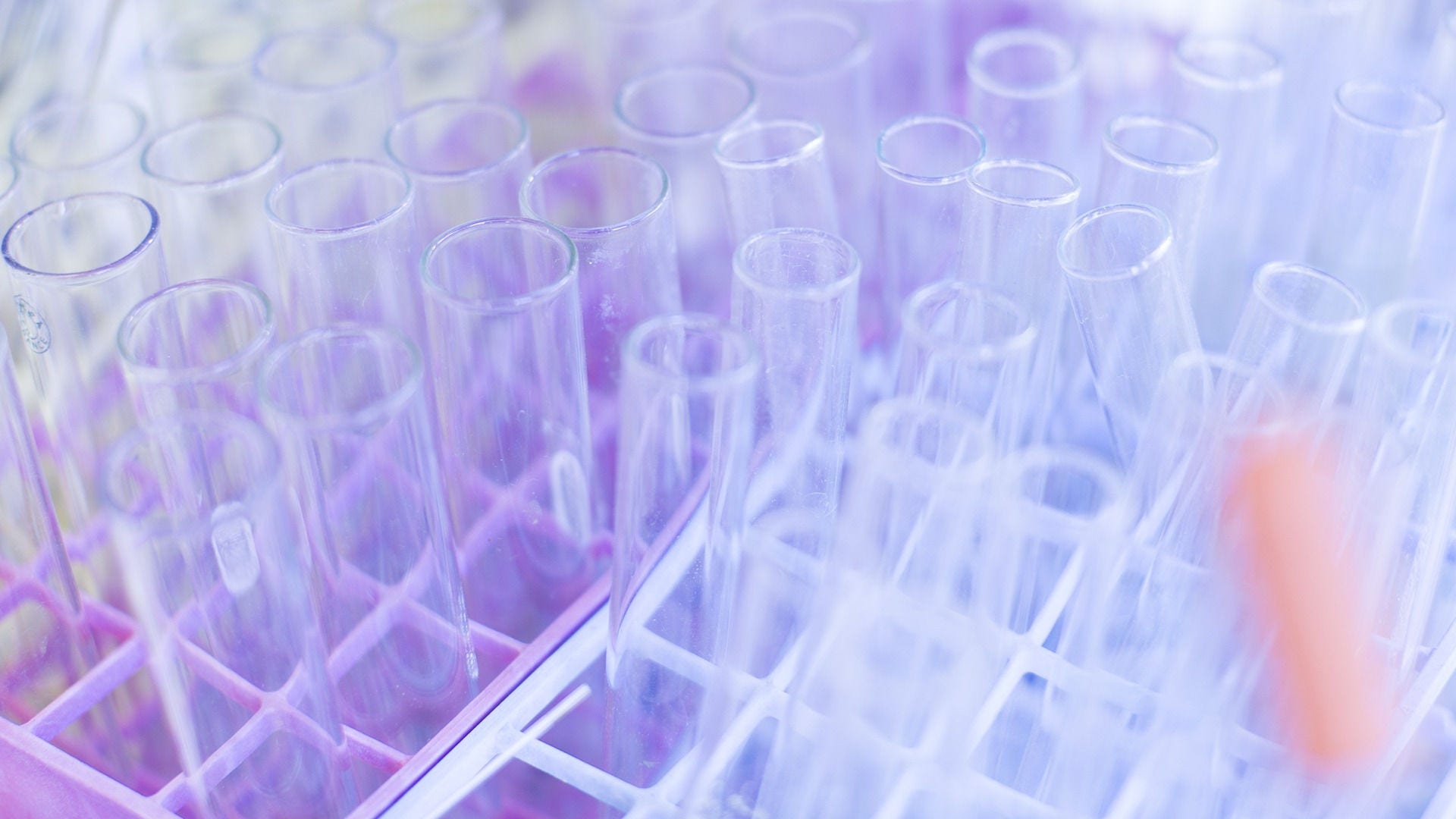 School of Physics Chemistry and Earth Sciences