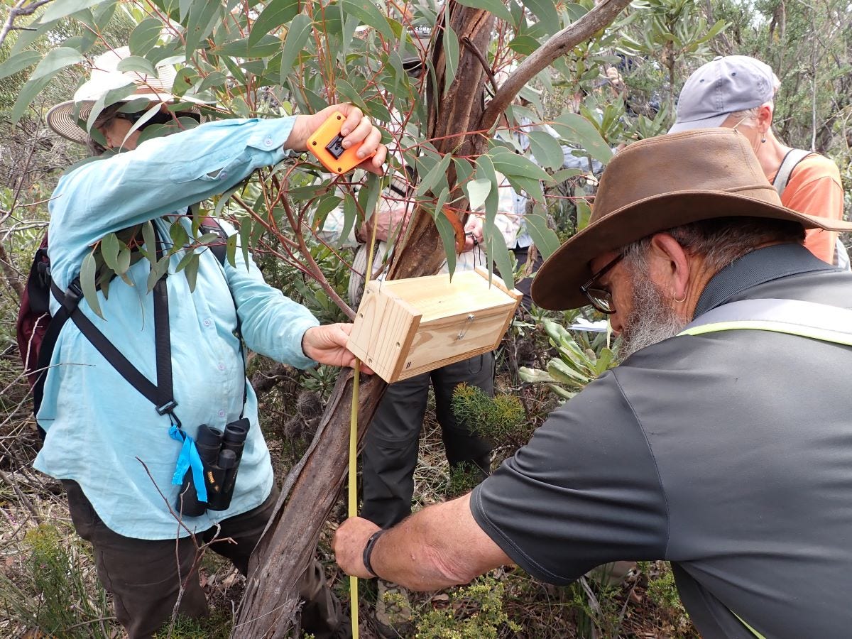 Volunteers assist with the installation of nest boxes