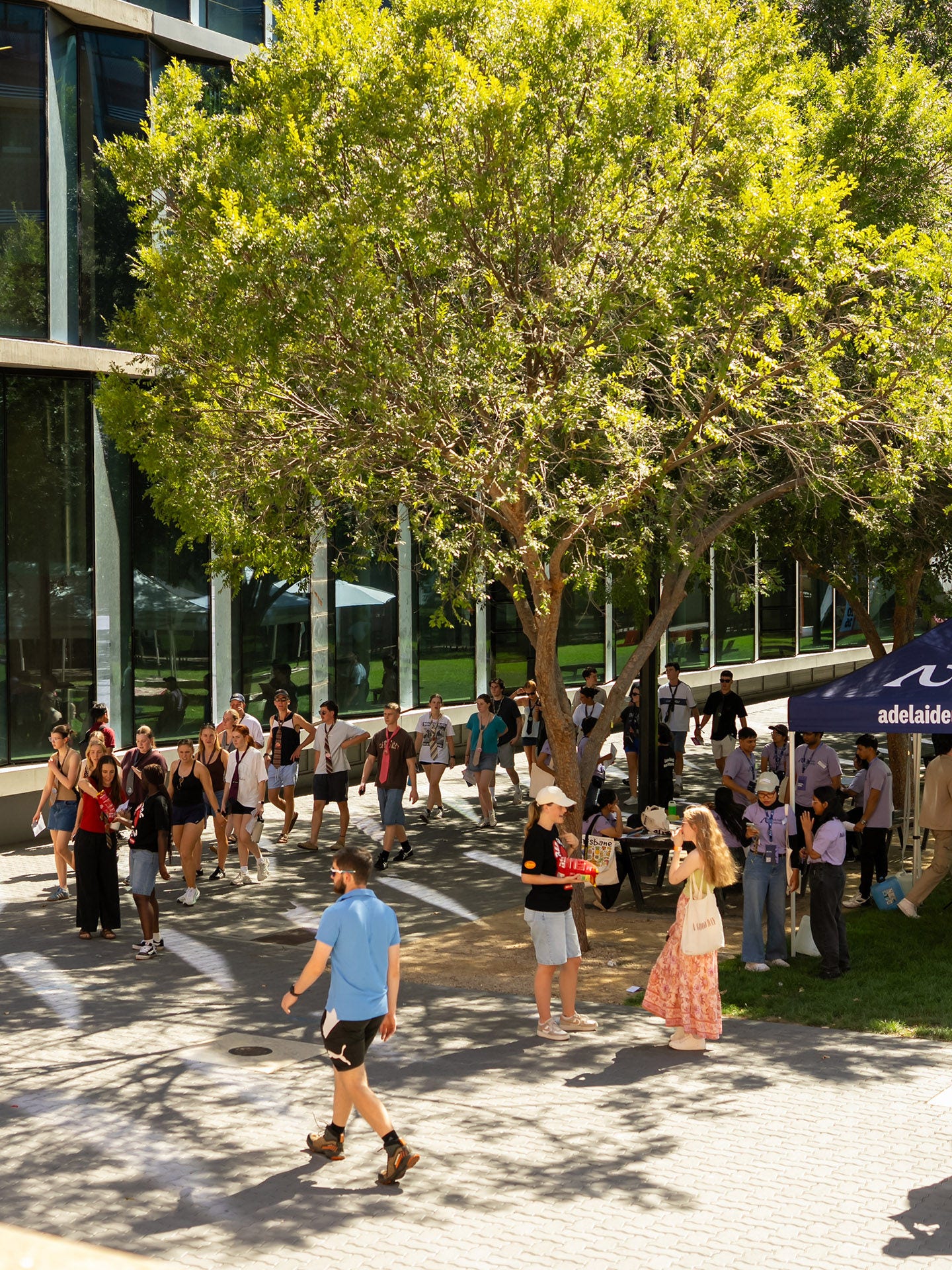 Students on campus