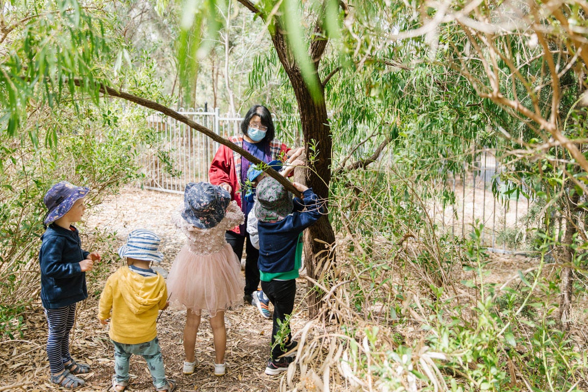 Pilyabilyangga and the Adventure Playground