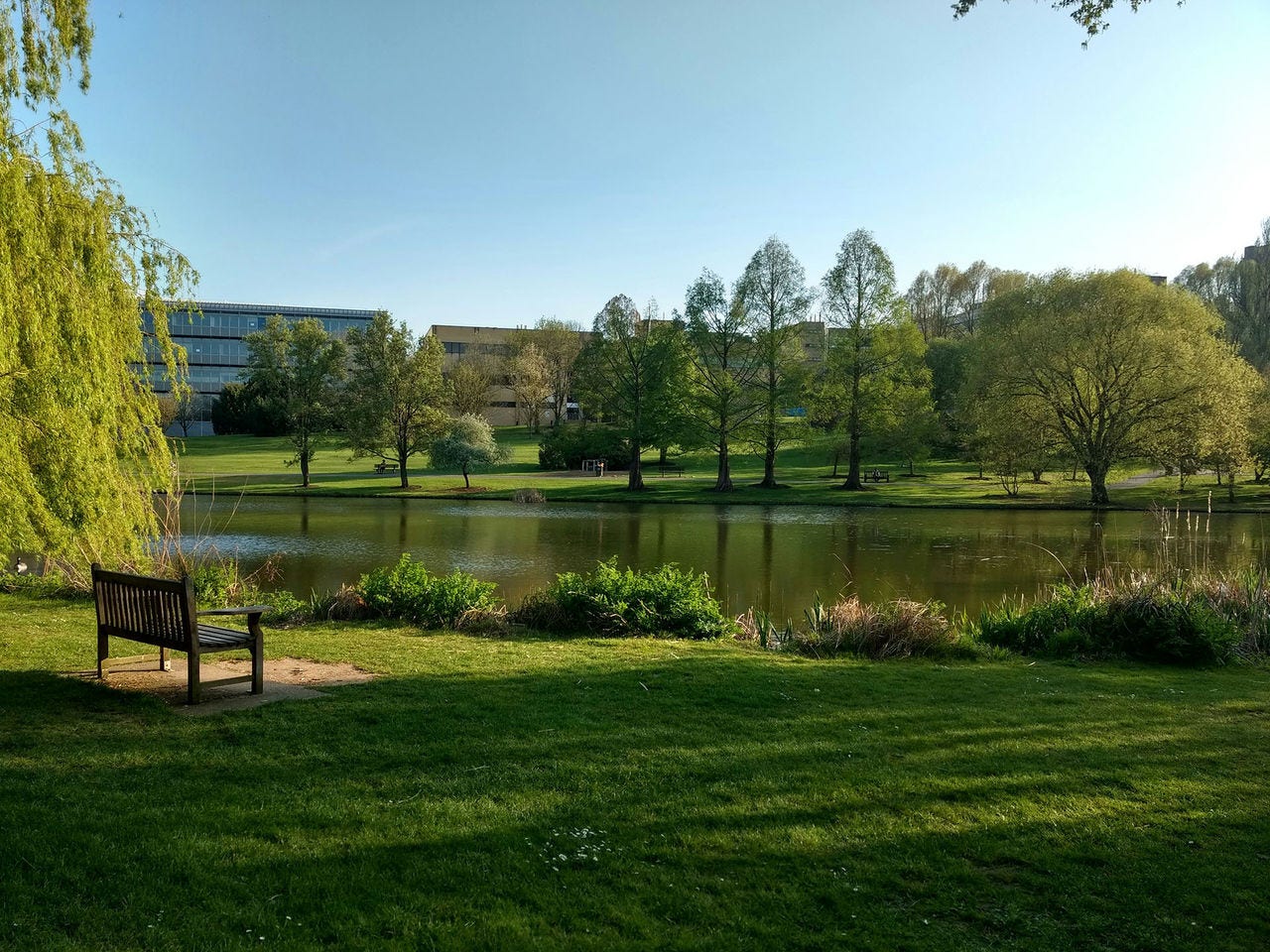 University of Surrey