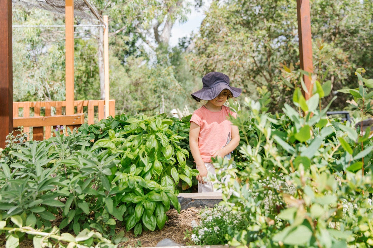 Pilyabilyangga and the Adventure Playground