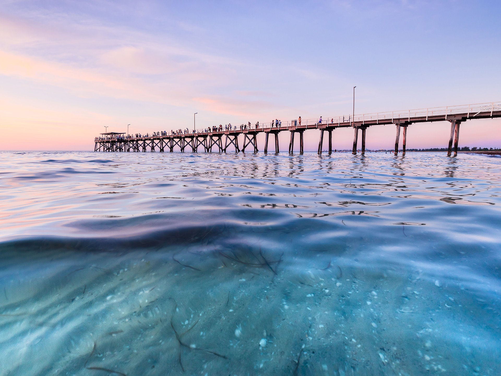 Marine environment image