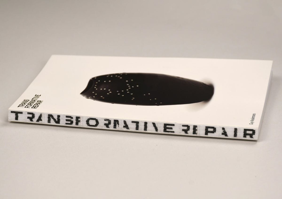 Transformative Repair book