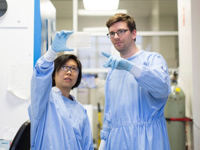 Phd researchers working together in a laboratory