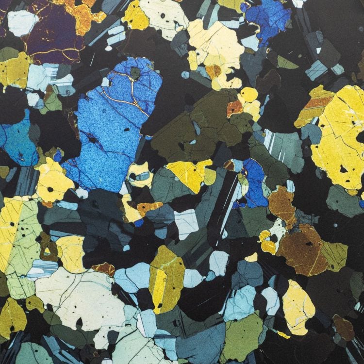 Microscopy image