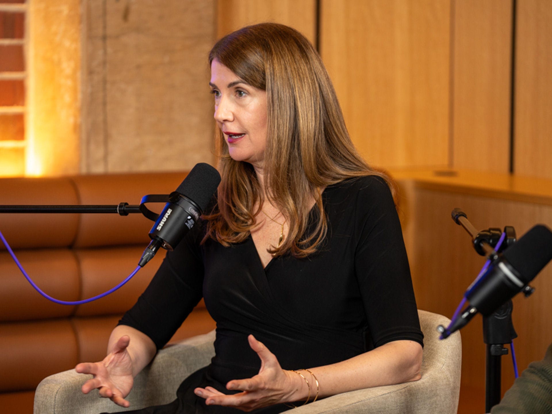 Episode 3, The future of the humanities: Professor Anna Goldsworthy in studio.