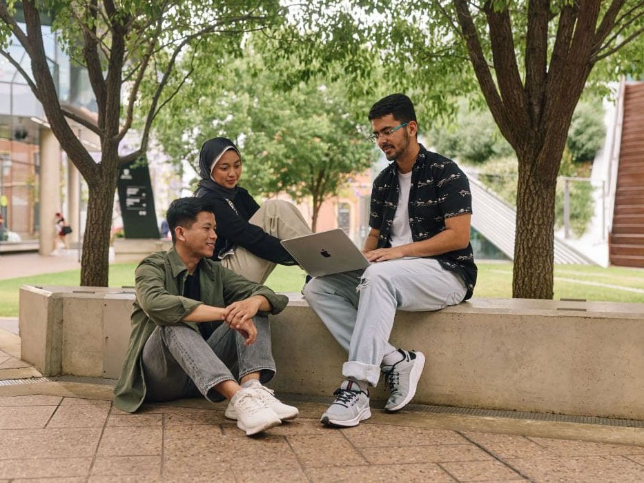 Students studying on campus