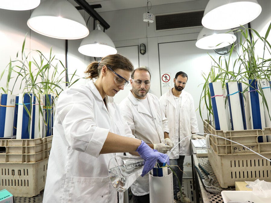 Researchers working together in laboratory setting