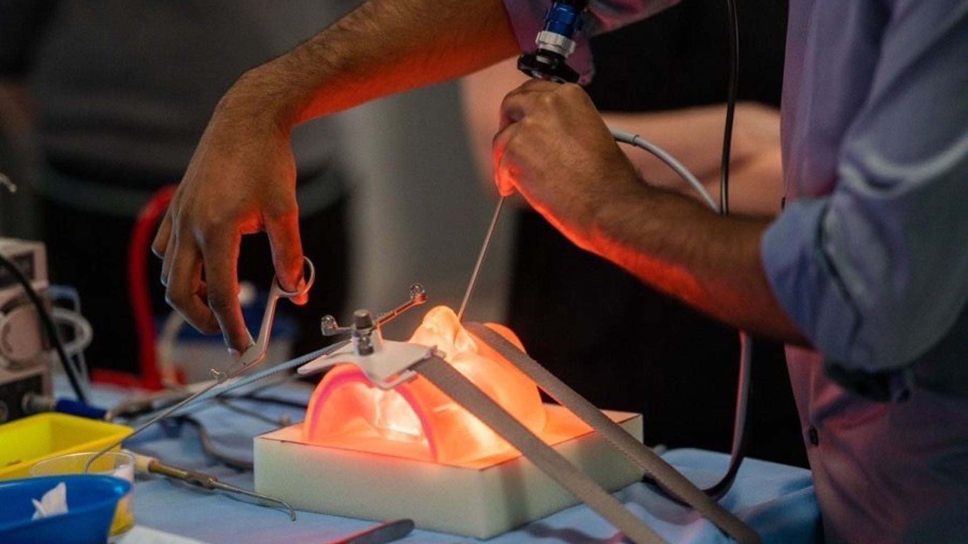Researcher working on a 3D dental model