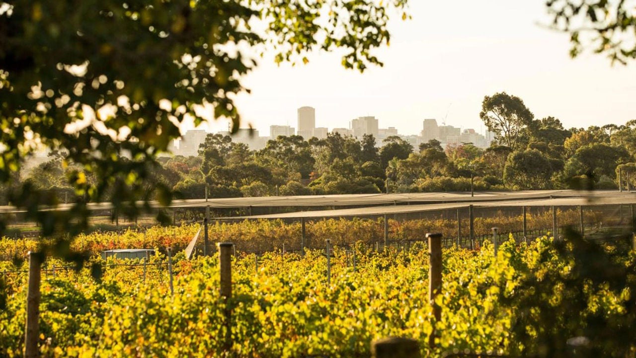 Experience Agriculture, Food and Wine at Waite