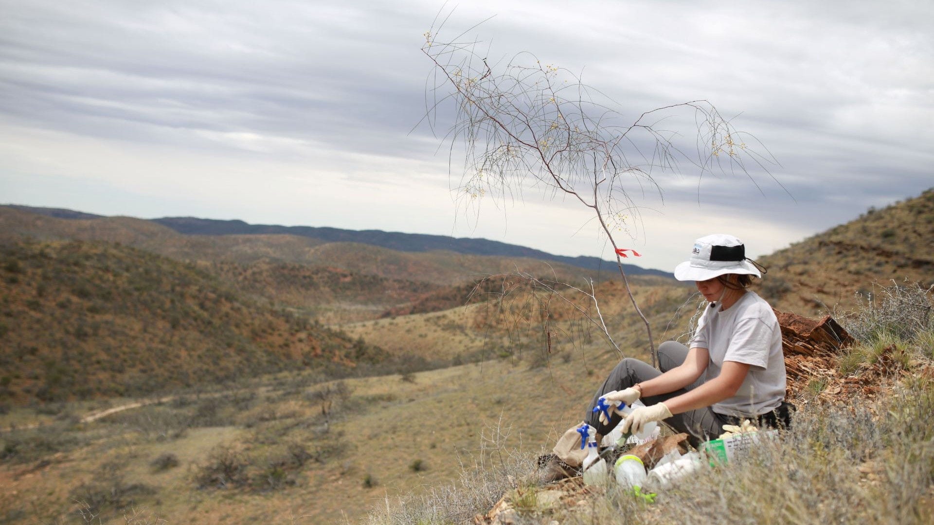 Woman sitting next to tree in remote landscape
