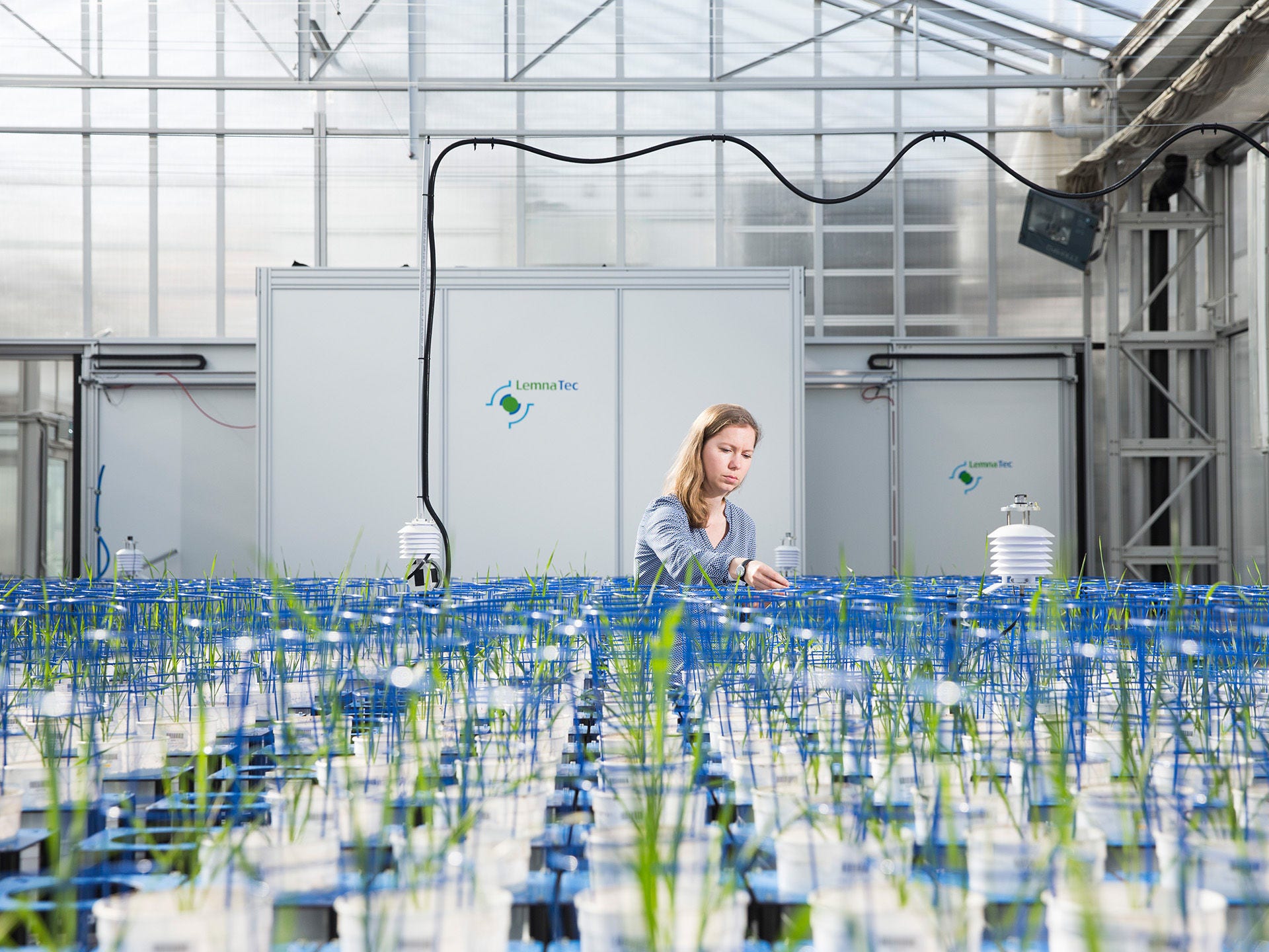 argriculture research