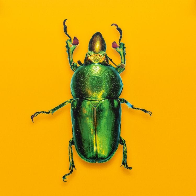 Microscopy image