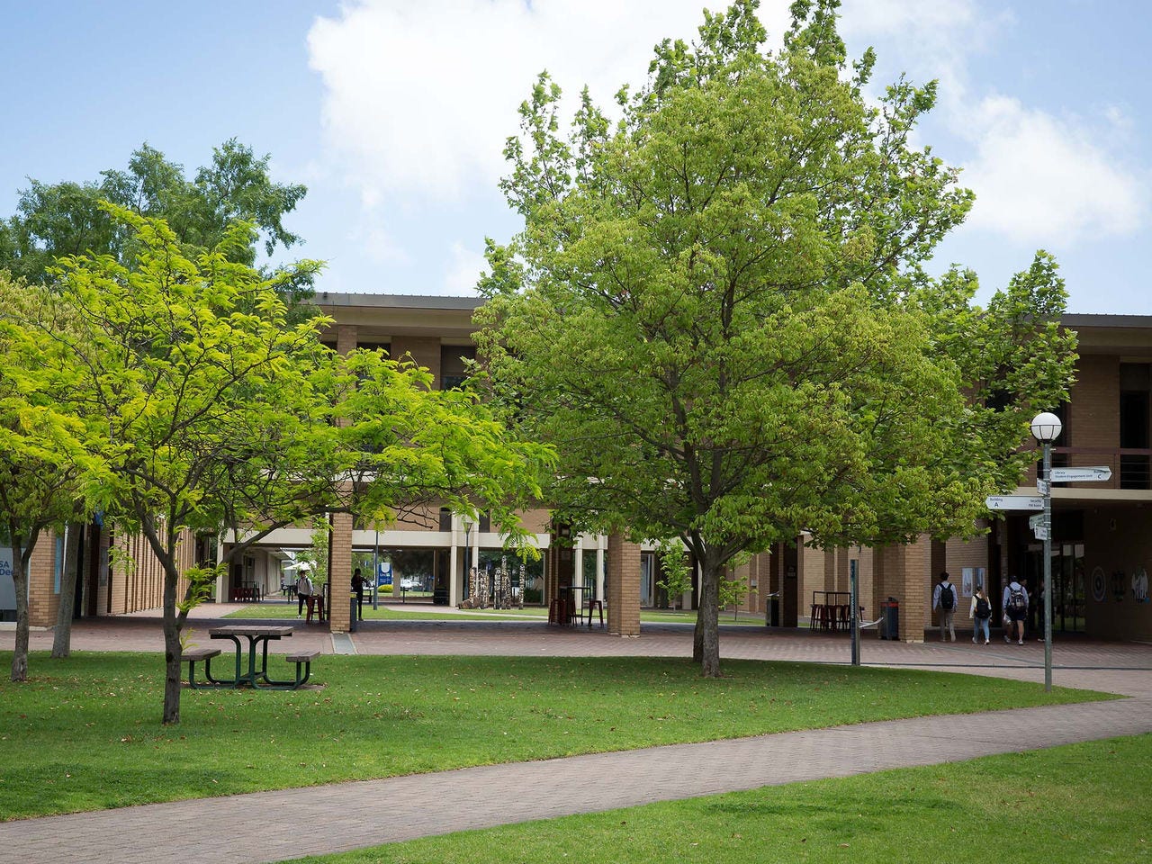 Mawson Lakes campus view of building in the background and some trees in the foreground