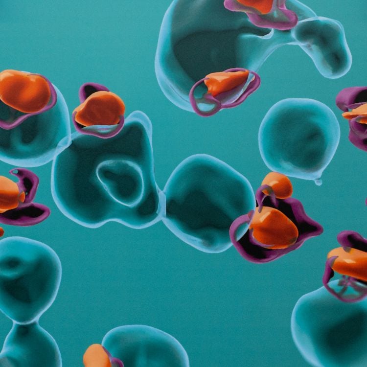 Microscopy image