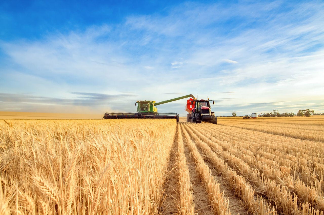 Wheat Harvest