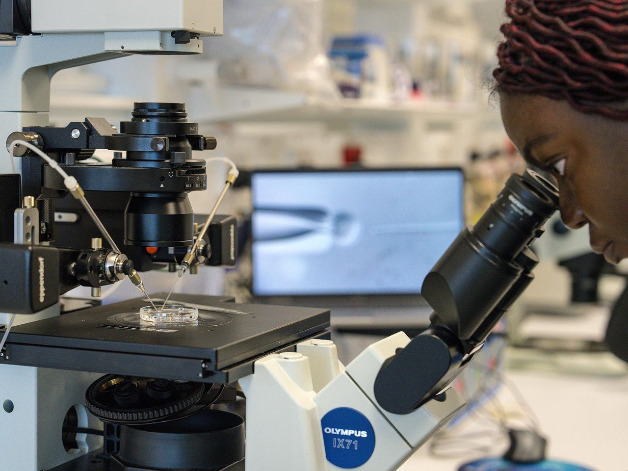Lifting IVF success rates